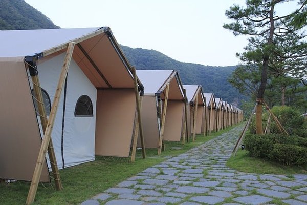 Quelles sont les dernières tendances en matière de camping ?