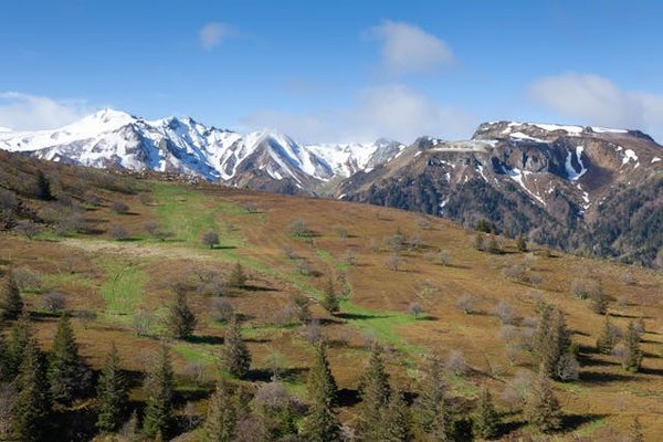 Découverte des meilleurs spots pour camper en Auvergne