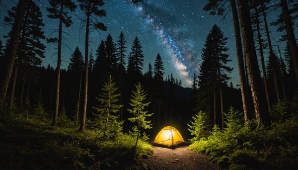 Découvrez les randonnées nocturnes : une nouvelle façon d'explorer la nature